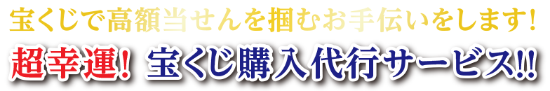 購入代行ナナツボシ